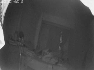 97人伦色伦成人免费视频,ririri国产在线观看